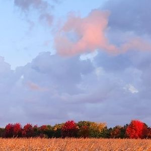 Meet your Posher, Bonnie